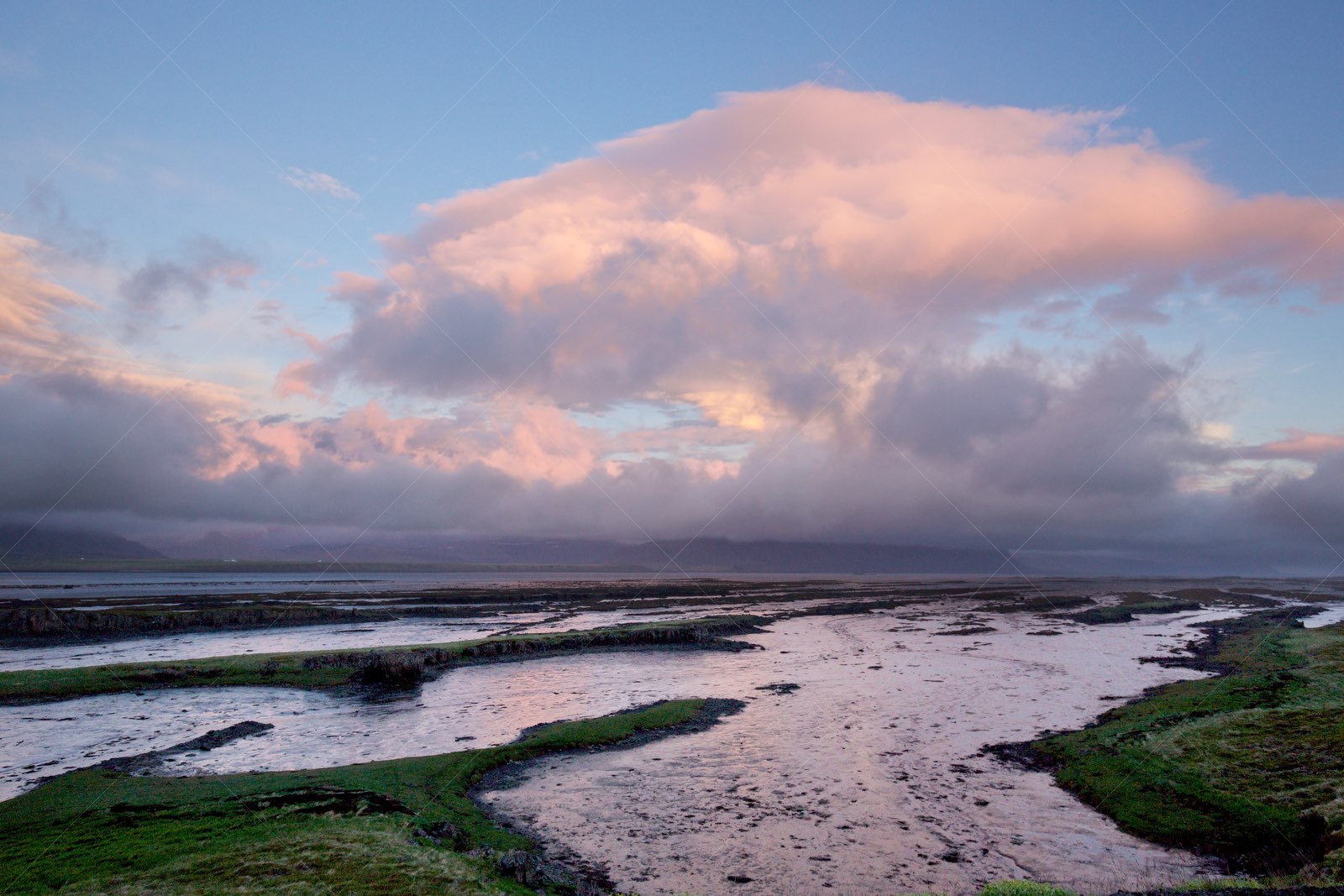 Purple landscape