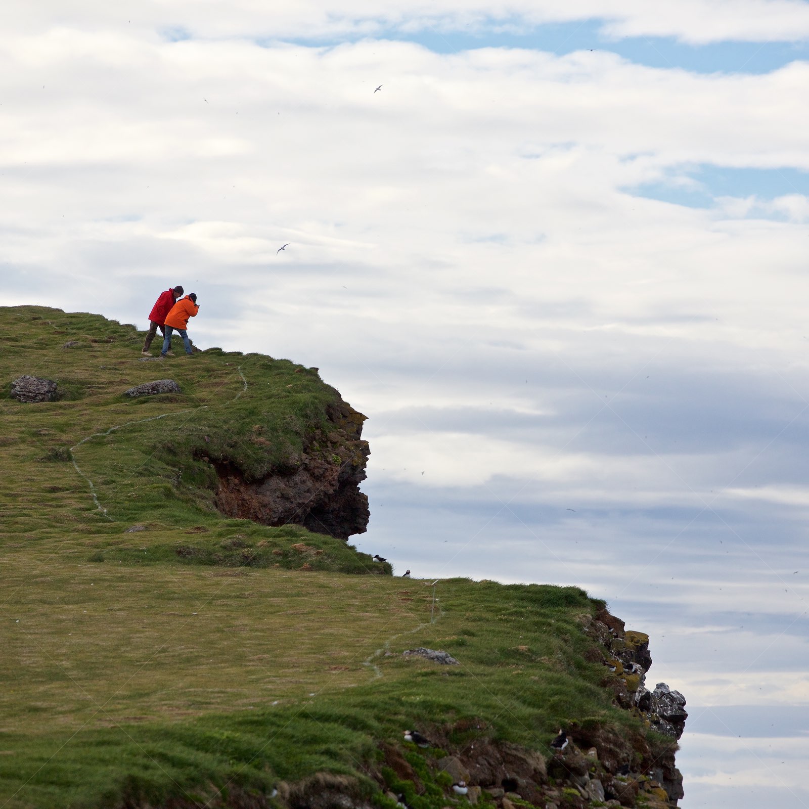 Tourists at Látrabjarg