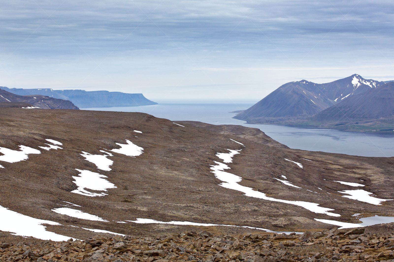 Westfjords highland landscape