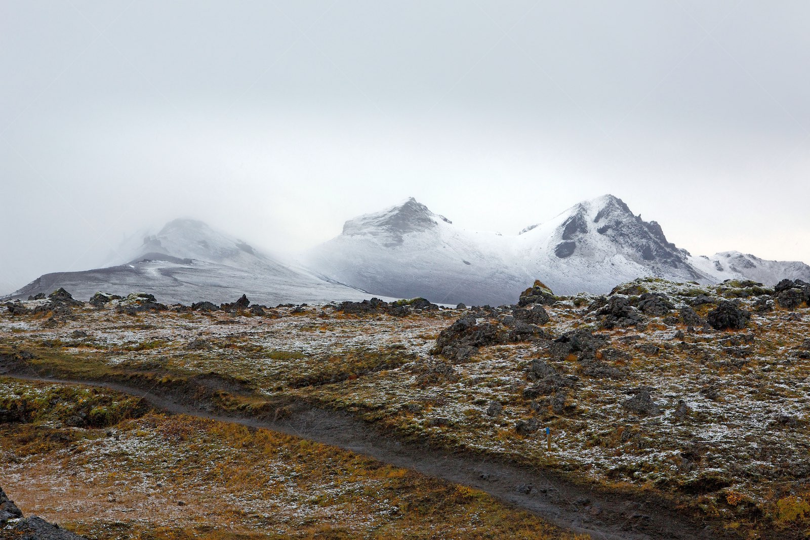 Winter landscape